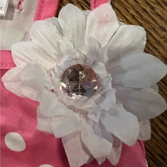 Doggy bikini - Picture 6 of 7